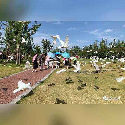 西安黄成群相关长尾关键词有哪些