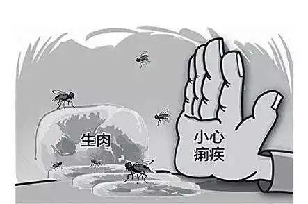 细菌性痢疾是什么病