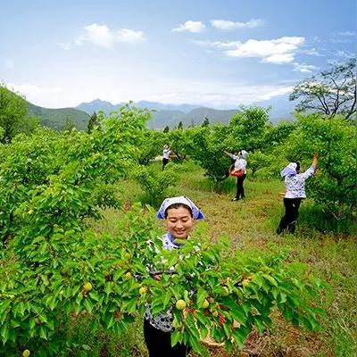 济南市北泉村是哪个区域