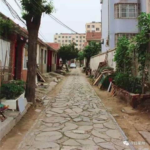南小巷小学怎么样？