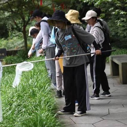 作业帮实习合肥相关长尾关键词有哪些