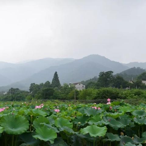 桂林市休闲垂钓园在哪里