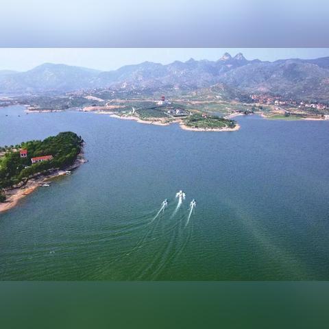 济南市区的花店有哪些