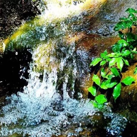 逝江省江山市气温的长尾关键词有什么