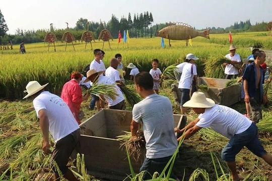 农村骗局有了新套路，网络传销已经盯上了你，很多农民入坑了