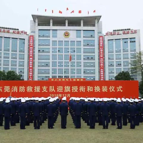 怎么查东莞市科目三成绩