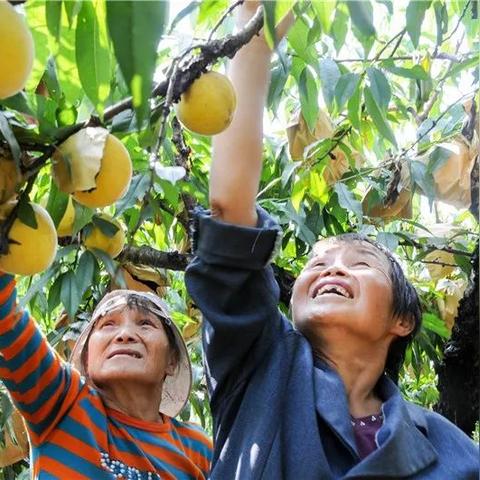 河南核洁净怎么样