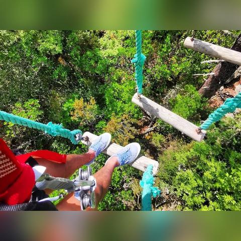 哈尔滨漫步巴黎小区怎么样?周边繁华吗？