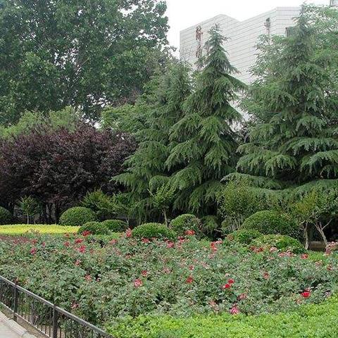 哪个市离济南市最近呢