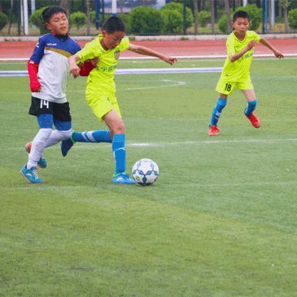 全区足球队有多少人