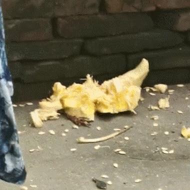 杭州市临江村属哪个区