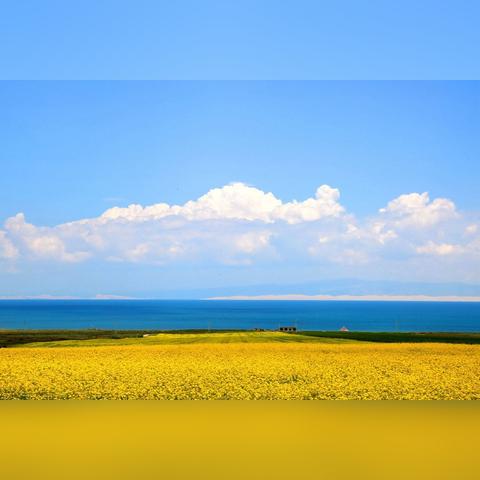 温州市最近租车行的长尾关键词有哪些