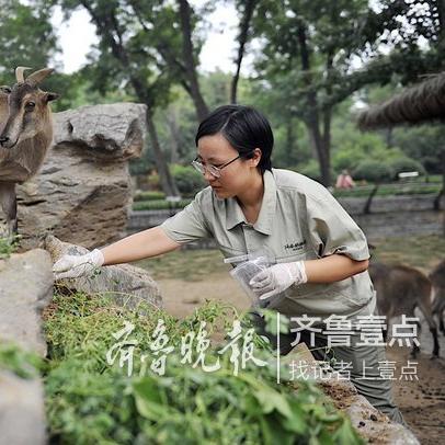 济南 博士待遇相关长尾关键词有哪些