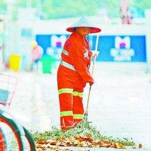 海沧 天气的长尾关键词有哪些