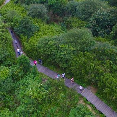 温州市高速屏障的长尾关键词有哪些