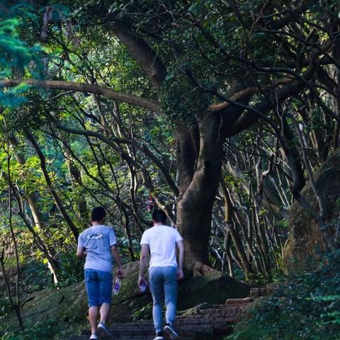 清源山和福建哪个好玩