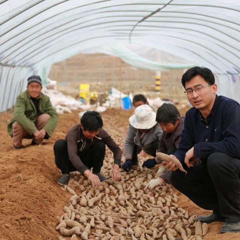 诚信通无货源怎么发货