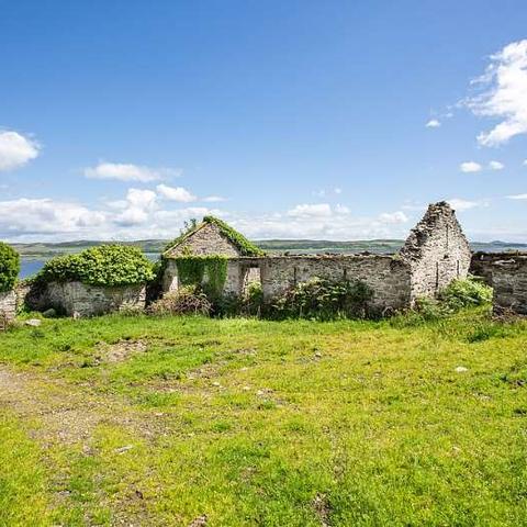 比特森林/比特森林是什么公司