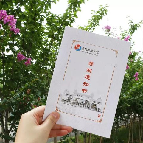 河南高校哪个城市多