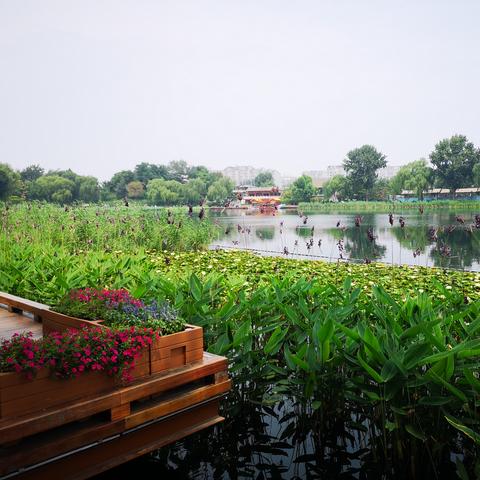 苏州市西海岛属什么社区