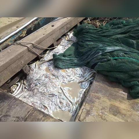 温州市水产干货店的长尾关键词有哪些