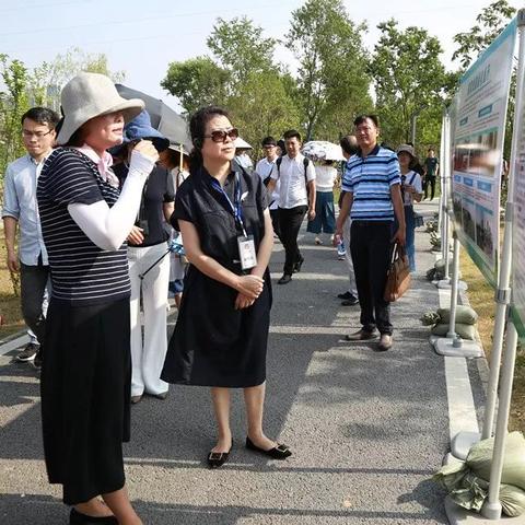 河南路小区怎么样