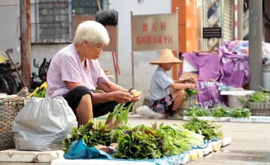 我的美好城事|广州24小时实拍：遇见所有人的美好与不易