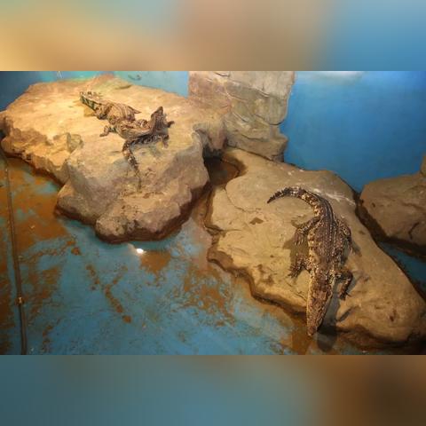 南通专业电动缸授权代理长尾关键词有什么