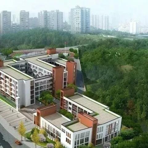 杭州市江东校区怎么样