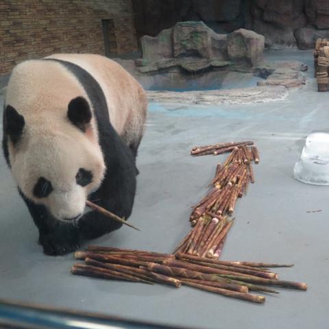 东莞市生日聚会地方有哪些