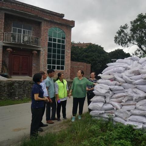 金城江区天气预报的长尾关键词有哪些