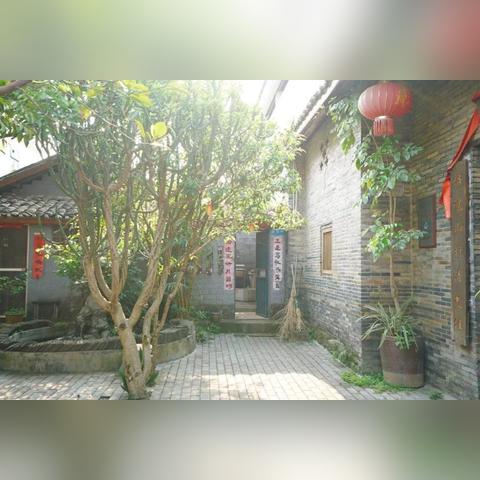 栽桑葚南宁的相关长尾关键词有哪些