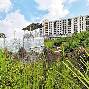 南宁附近哪里有山和小溪？