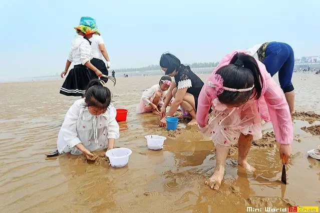 日照哪里能出海 日照哪里能出海捕鱼