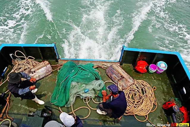 船员可以驾驶渔船出海吗 渔船船员出海要做体检吗