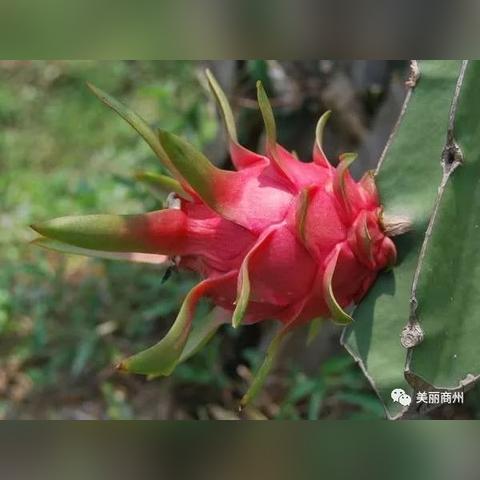 合肥兄弟保温相关长尾关键词有哪些