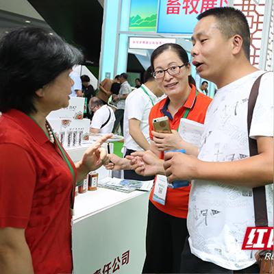 广东可以种藏红花吗？