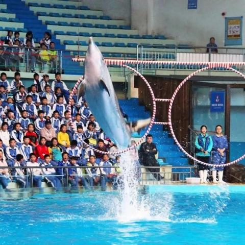 长沙市海洋馆怎么样啊