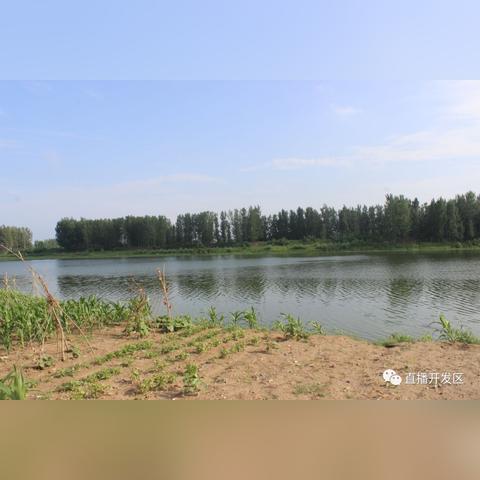 菏泽市拆迁最近规划的长尾关键词有哪些