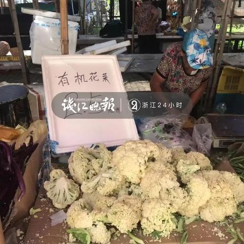 【杭州今日菜价】2025年5月28日杭州菜价是多少