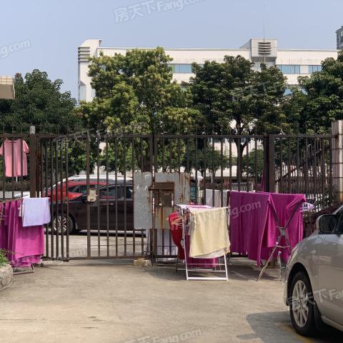 济南市北苑小学哪个好