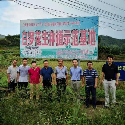 广州市海珠区有什么玩