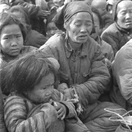 合肥太宠相关长尾关键词有哪些