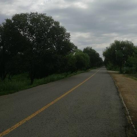 哈尔滨料理相关长尾关键词有哪些