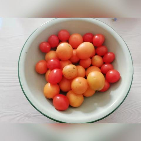 无锡市哪里的西红柿好吃