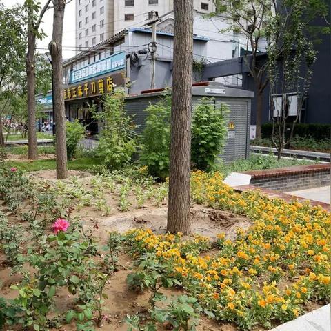 宁波市同仁医院怎么样