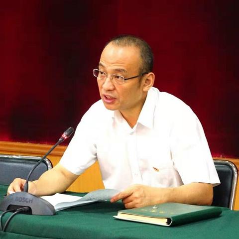 武汉市市局局长是什么级