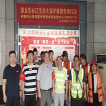 陈家墩在武汉市哪个区域