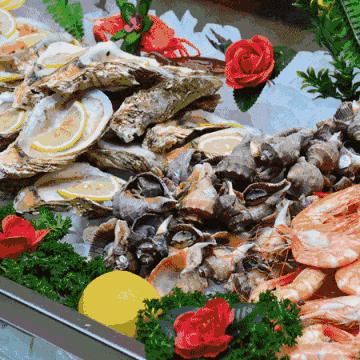 温州市手机批发城在哪里