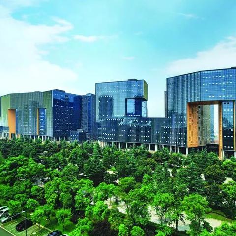 成都市社保编号怎么查询